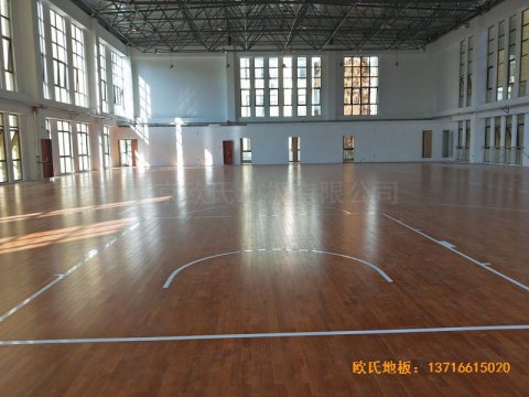 安徽上派學(xué)區(qū)中心學(xué)?；@球館運(yùn)動(dòng)木地